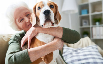 What is Pet Therapy?